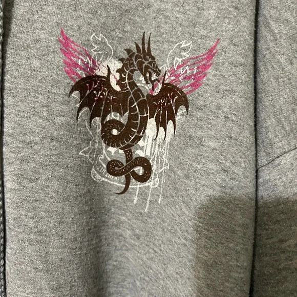 Deals Gap/Tail of the Dragon Gray Zip-Up Hoodie with Graphic - Picture 2 of 9